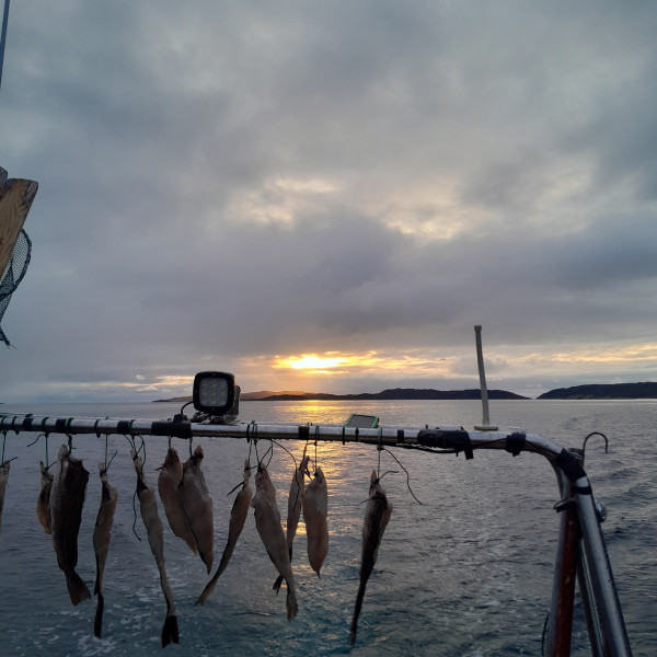 Sorine Kaspersen Aasiaat