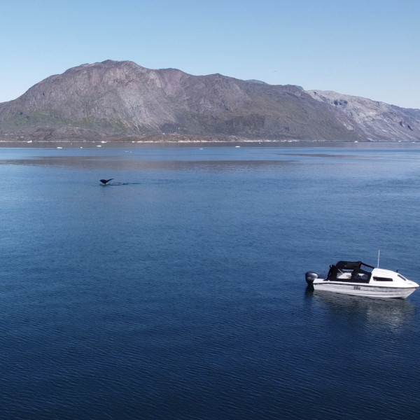 Aqissiaq Hansen Narsaq