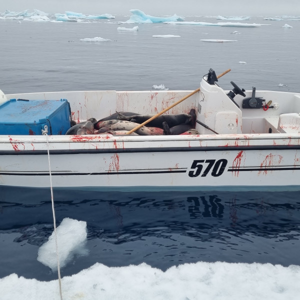 inbound2119395144660617762