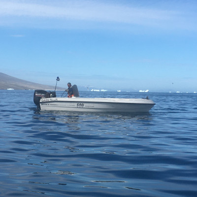 Lastet med hellefisk ved Uummannaq