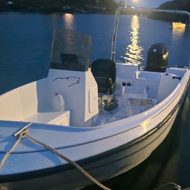 Poca 550 motor 175